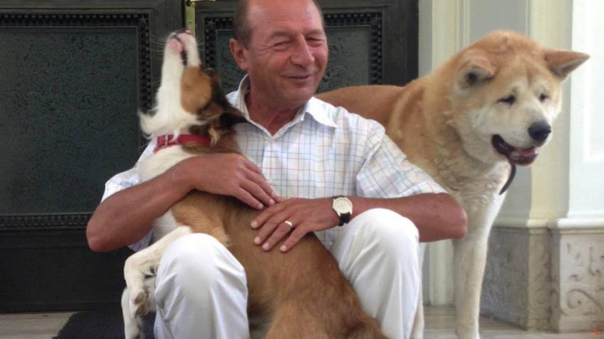 1186234_691149250898629_212273899_n_23313700