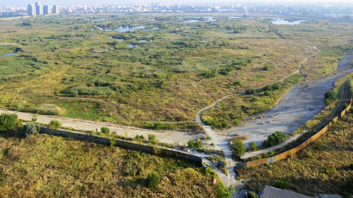 delta_vacaresti_95935100