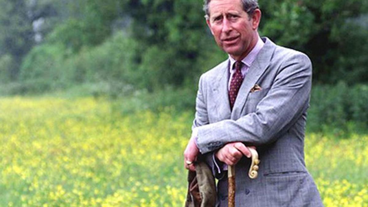 printul_charles_romania_37058600