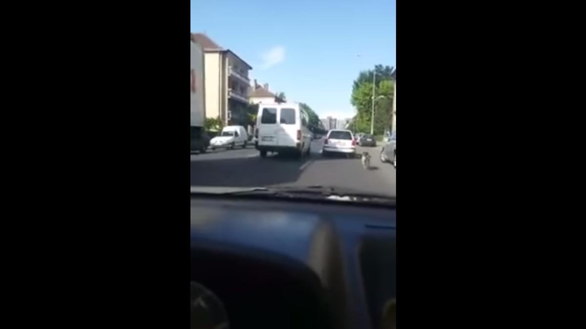 screen_shot_2015_06_02_at_11_07_37_pm_69293200