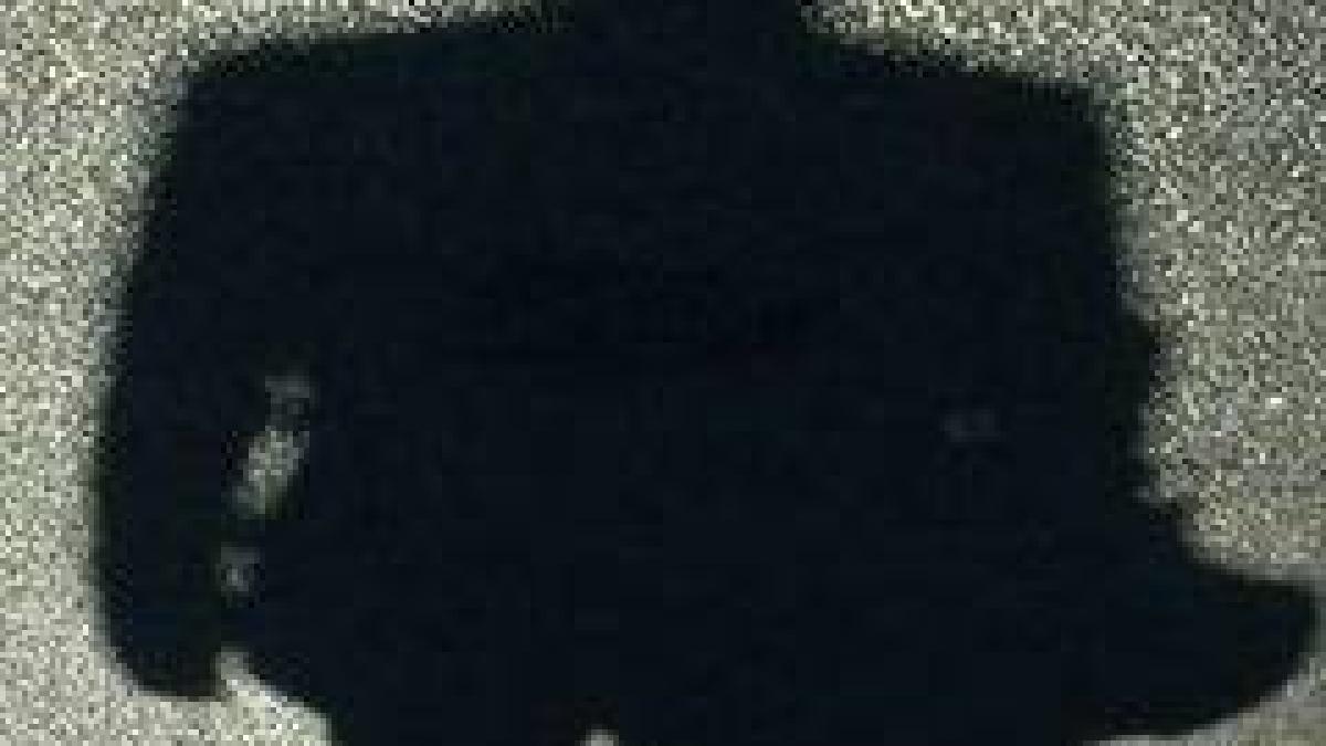 guvernul_din_umbra__tichia_de_margaritar_a_pnl_1_74637100