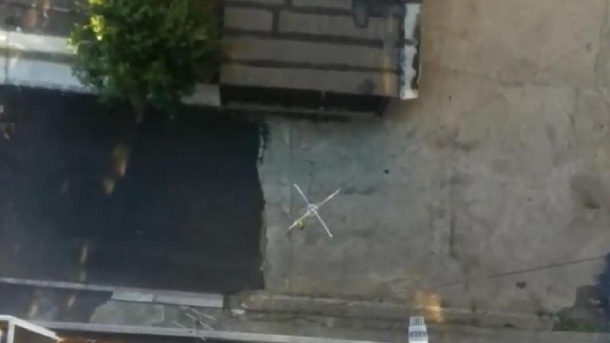 video_mythbusters_de_cluj_o_lebenita_aruncata_de_la_etajul_opt1343555247_66148300