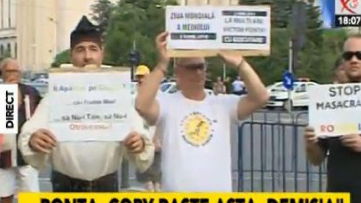 screen_shot_2015_06_05_at_6_36_21_pm_43920500