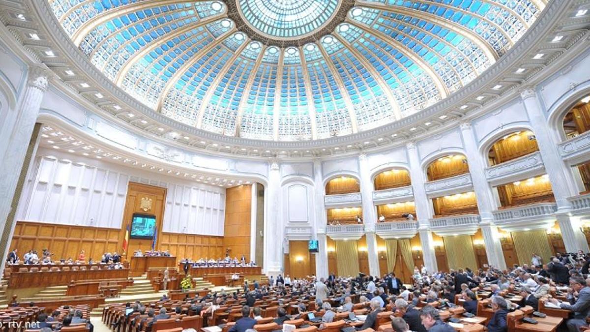 11407103_967259523313935_4620285504994335495_n_08584500