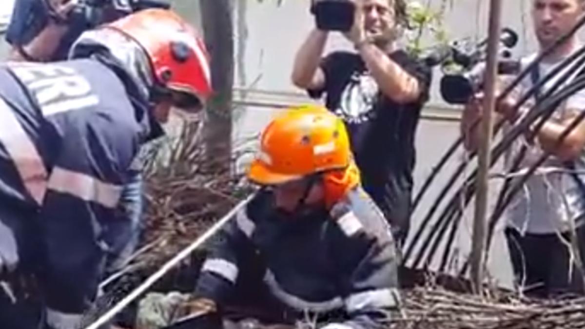 screen_shot_2015_06_11_at_10_05_51_am_86873300