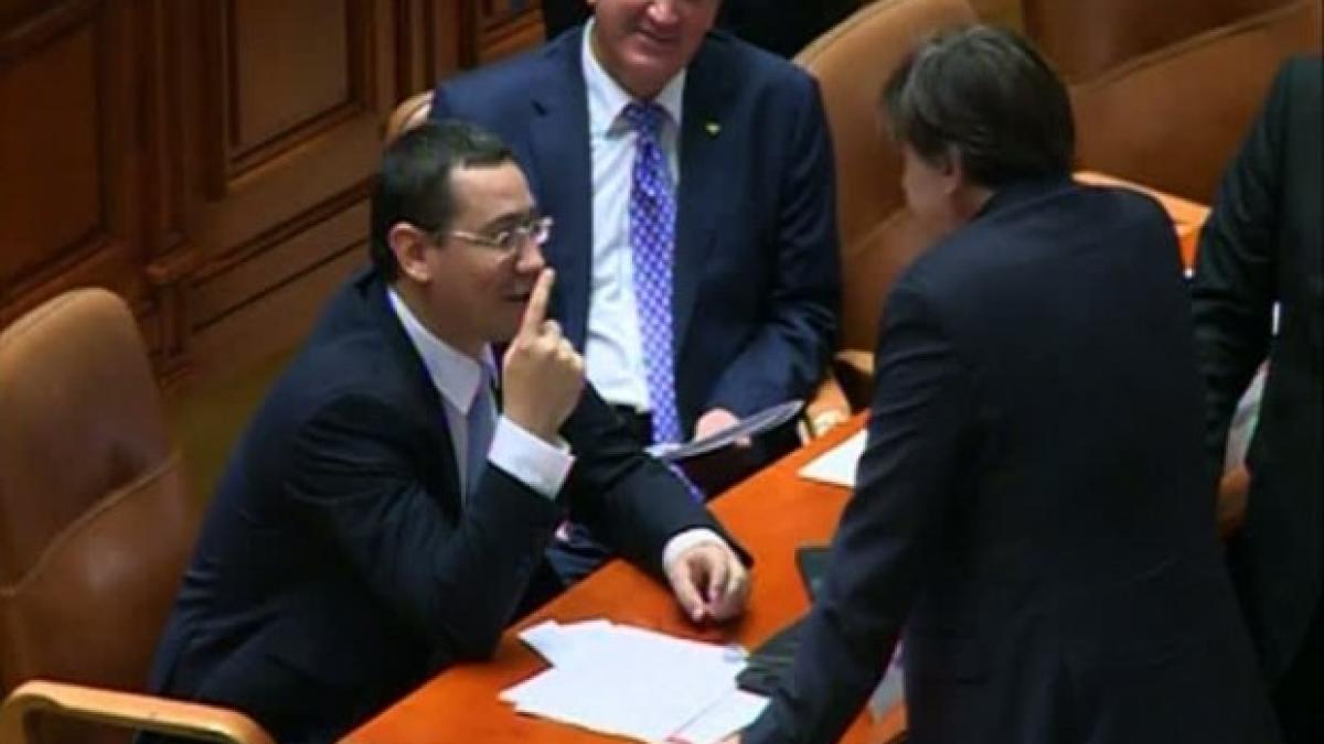 ponta_crin_bun_00939600_15202300