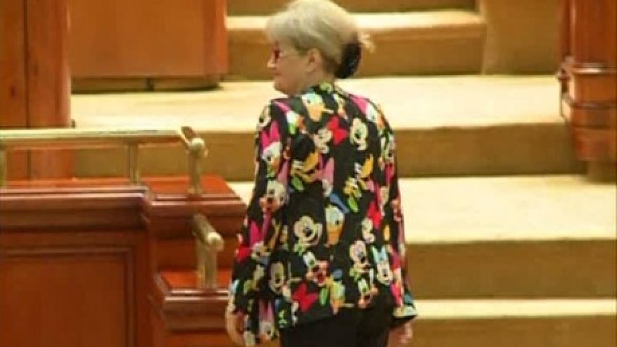 anghel_mouse_06382400