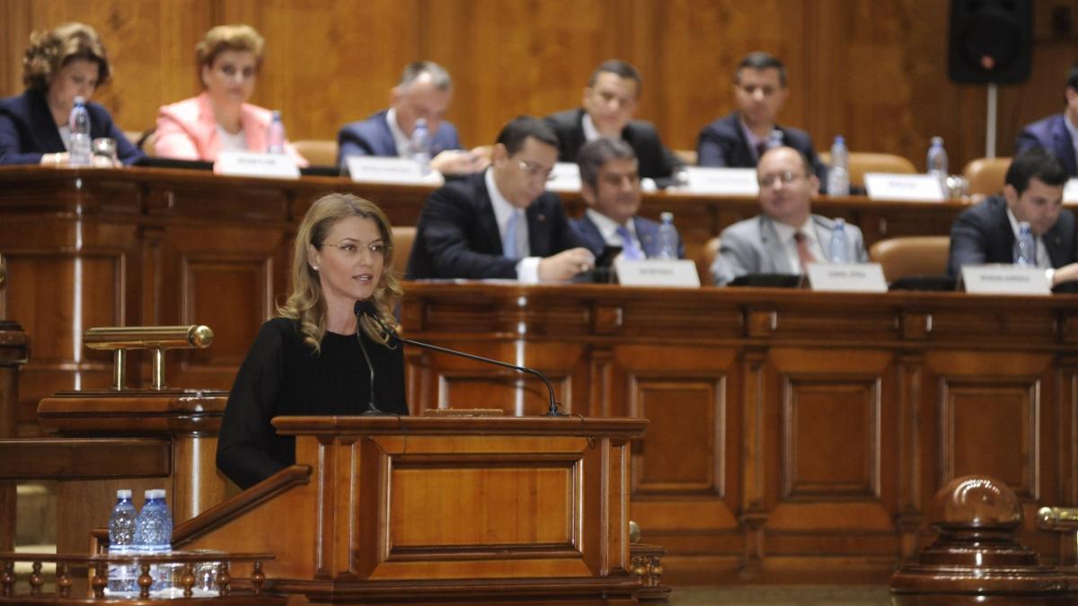alin_agorghiu_parlament_11330200