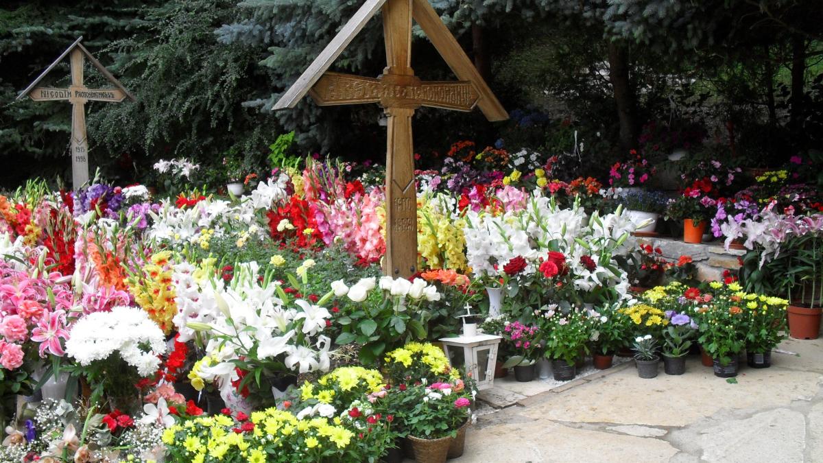 arsenie_boca_91984300