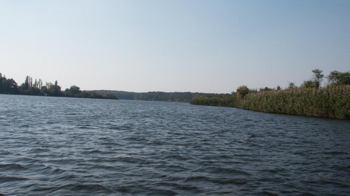 29299_lacul_snagov_arie_protejata_3_65147400