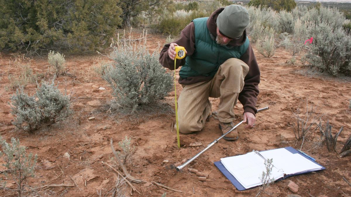 site_arheologic_11579300