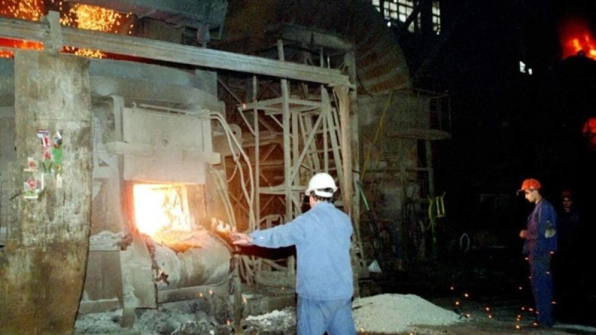 grupa_i_de_munca_20536600