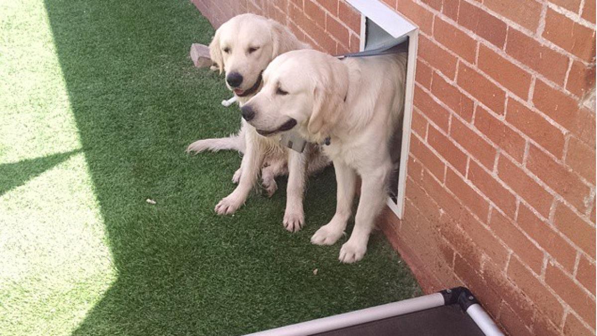 screen_shot_2015_06_23_at_6_57_08_pm_18585300