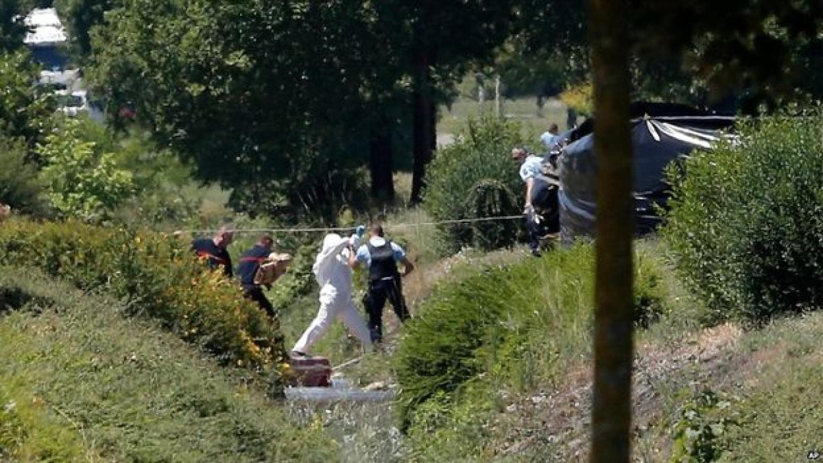 _83881304_83881303_44407500