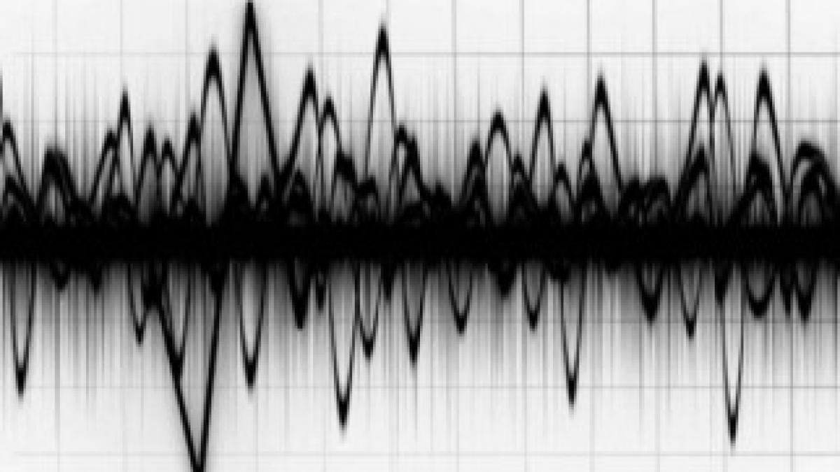 cutremur_10056800_20316000