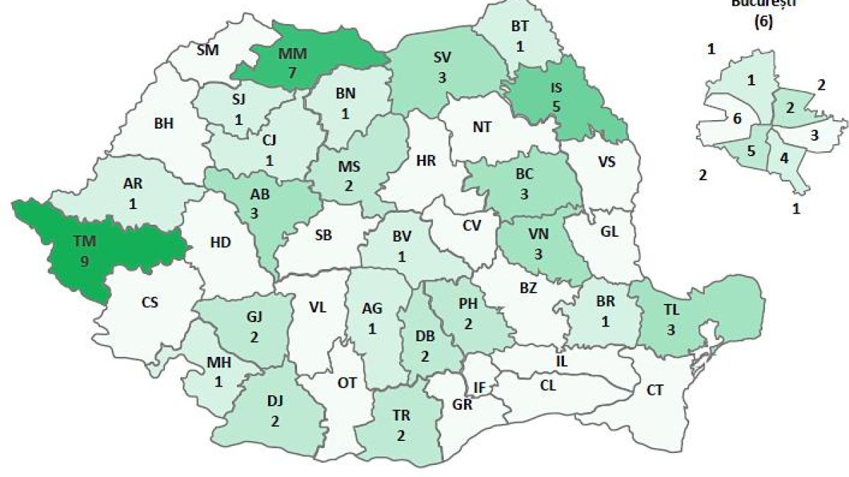 elevi_de_10_41050800