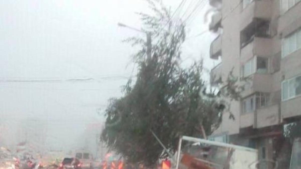 s560x316_chiosc_facut_praf_in_podu_ros_86193300