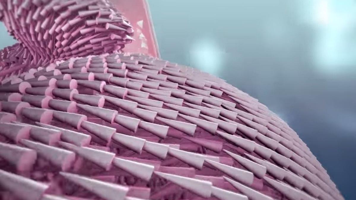 miscarile inimii umane intr un video impresionant