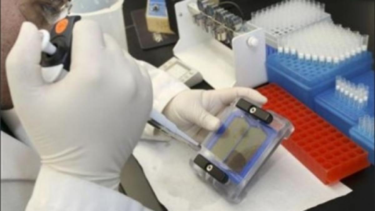 cercetari_umane_38444000