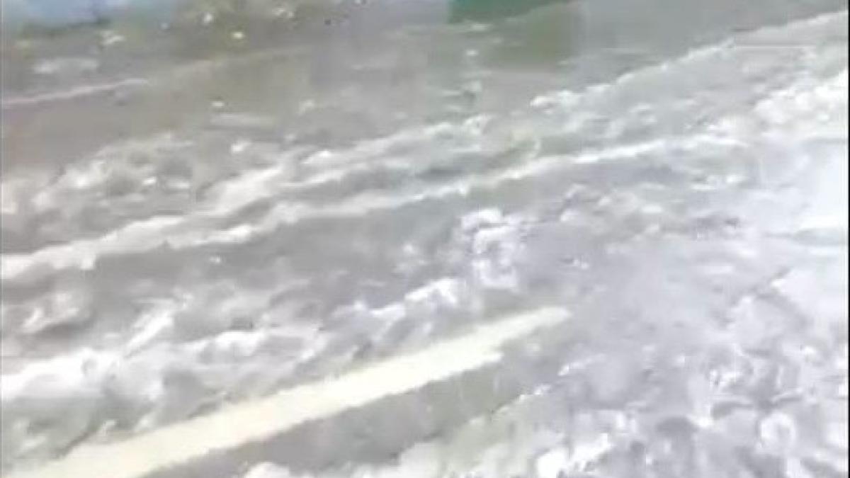 11749446_866883973401842_1860121034_n_27517300