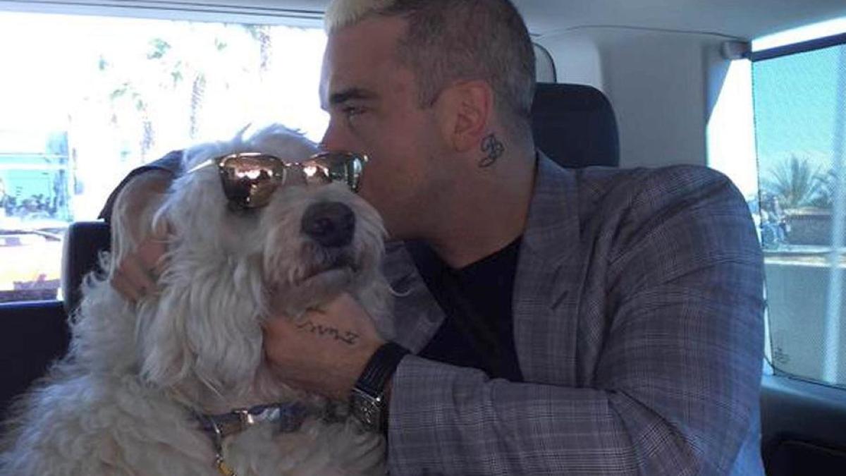 01_bizedrobbie05_2297327a_08582000