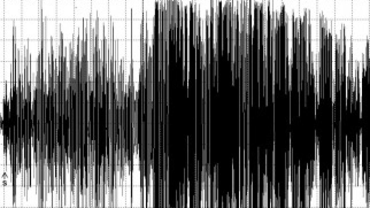 seismograf_05559400_26107700