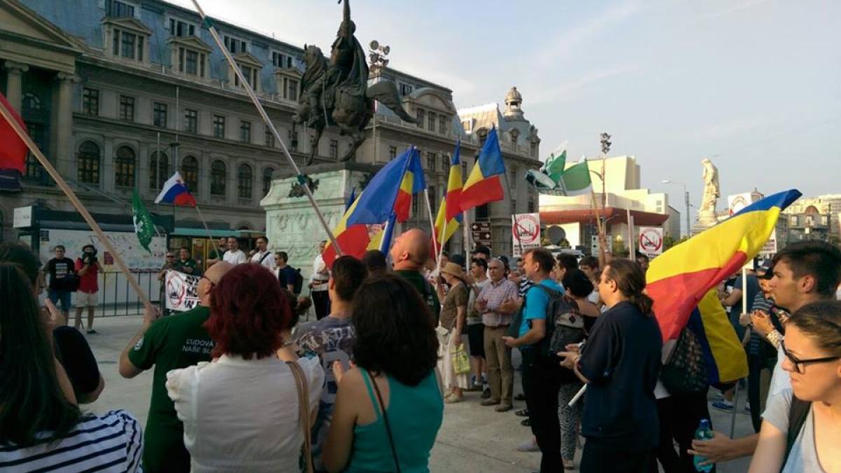 18395_384520091738383_7544350631606505884_n_77076400