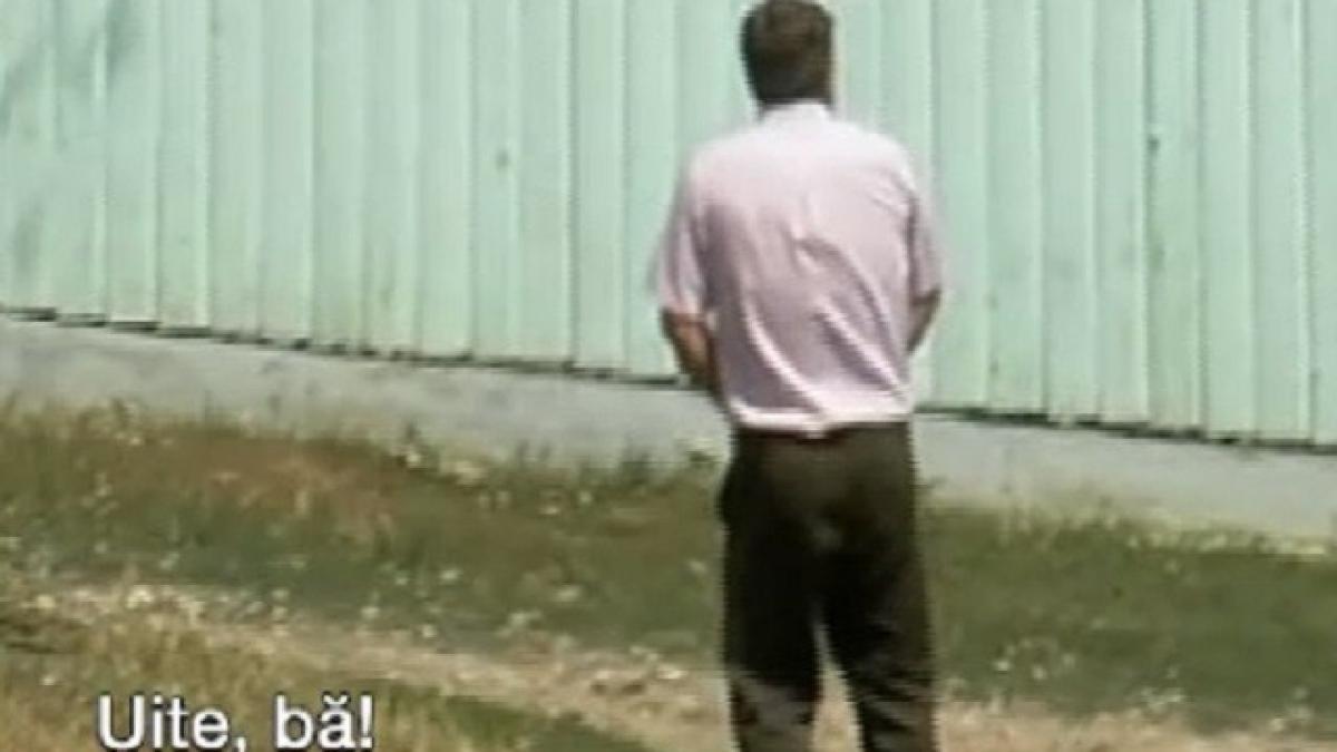 tataviolatorfund_25866200