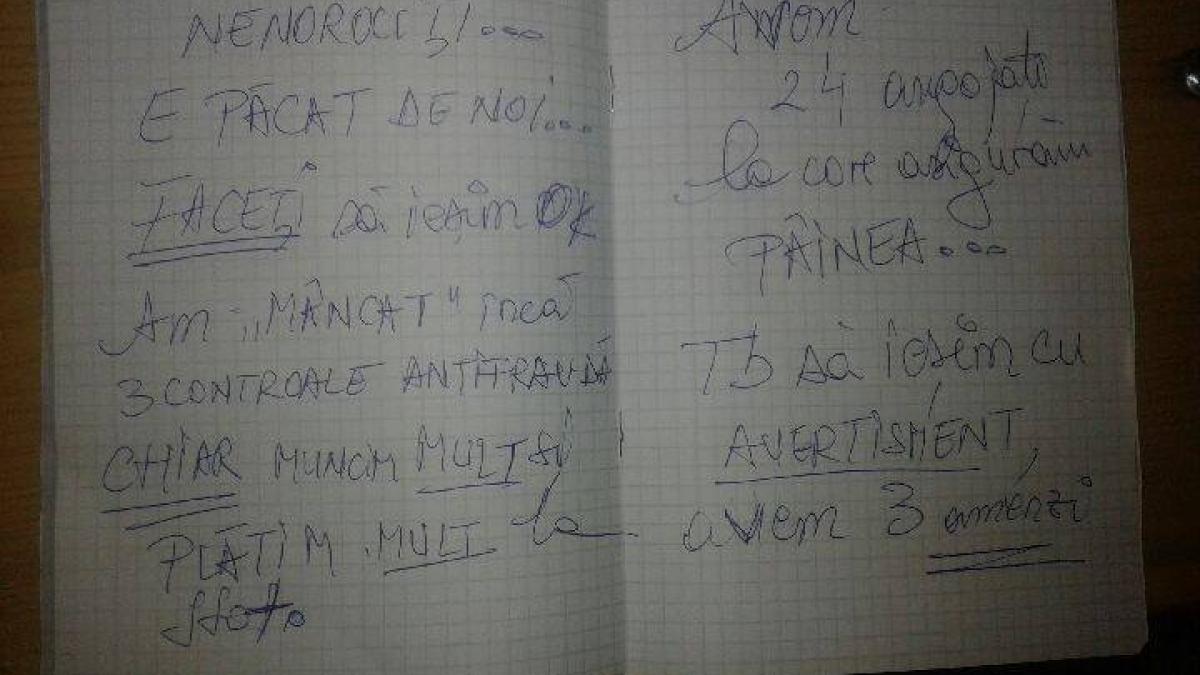 11781853_1471163703202945_2192691210085347643_n_16220200