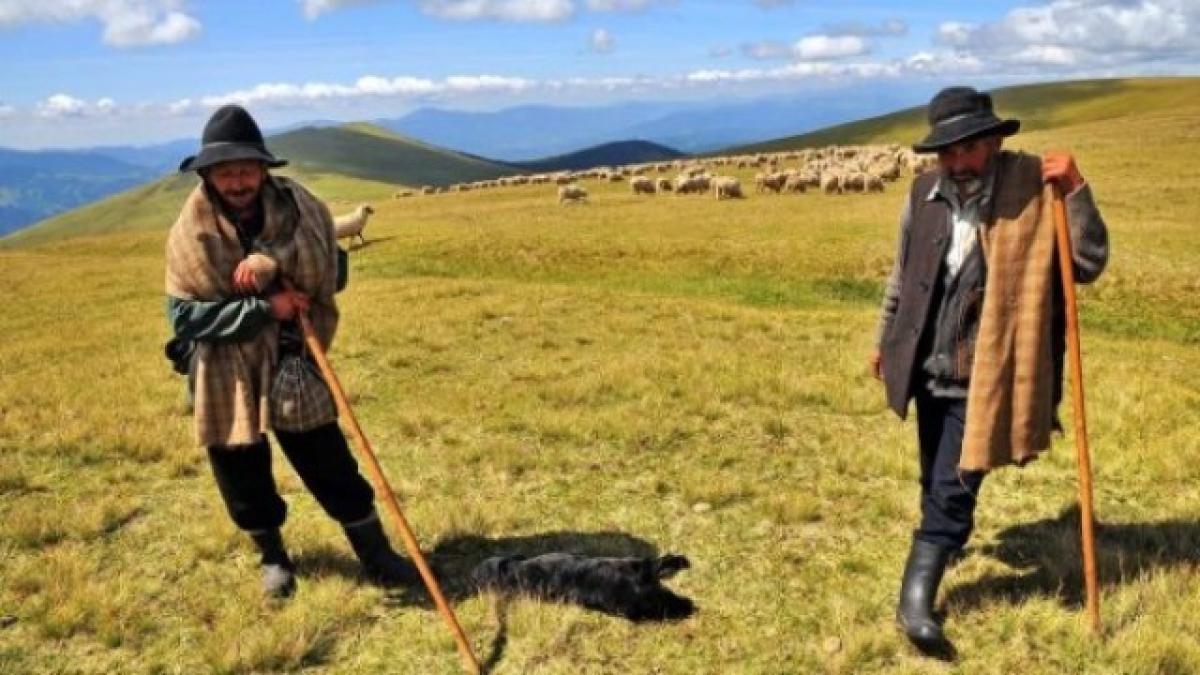 bancuri_cu_ardeleni_640x360_56590900