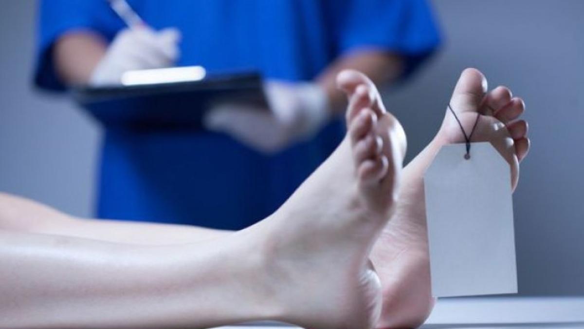 moarta_44096400_85951300