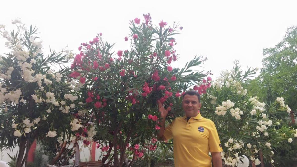 11707659_872121396201423_136187536289261983_n_12725500