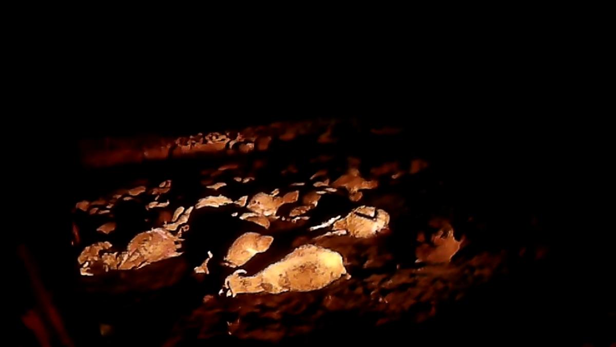 screen_shot_2015_07_31_at_12_07_00_pm_11487000