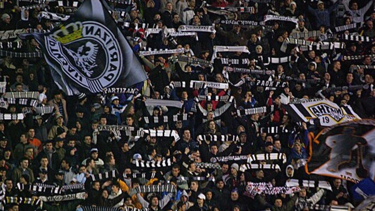 404067744_c123063477_86616700