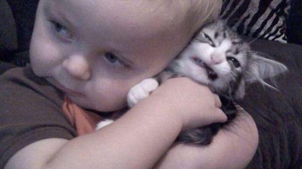 32_caturday_day_60705600