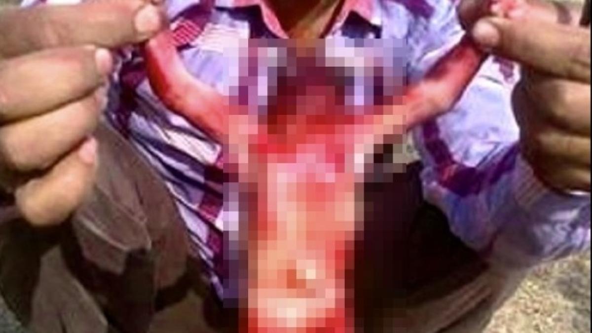 alien_humanoidcenz_85858500_89995300