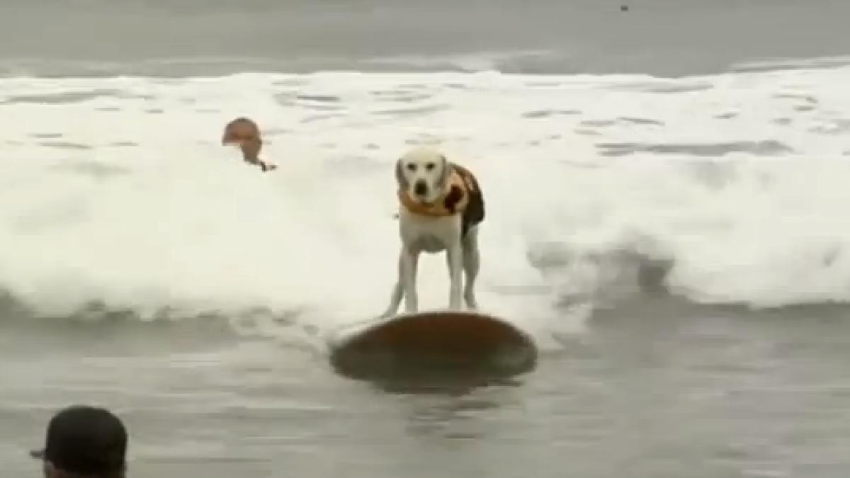 screen_shot_2015_08_04_at_11_55_44_pm_20905200