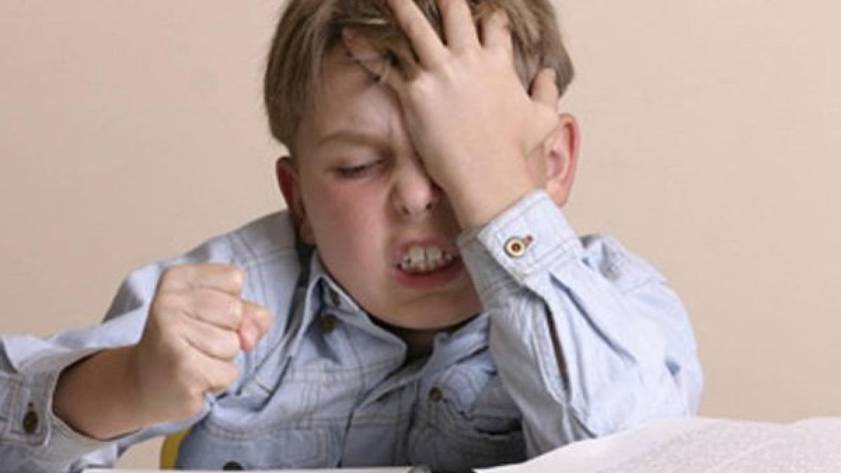 elev_nervos_95940100