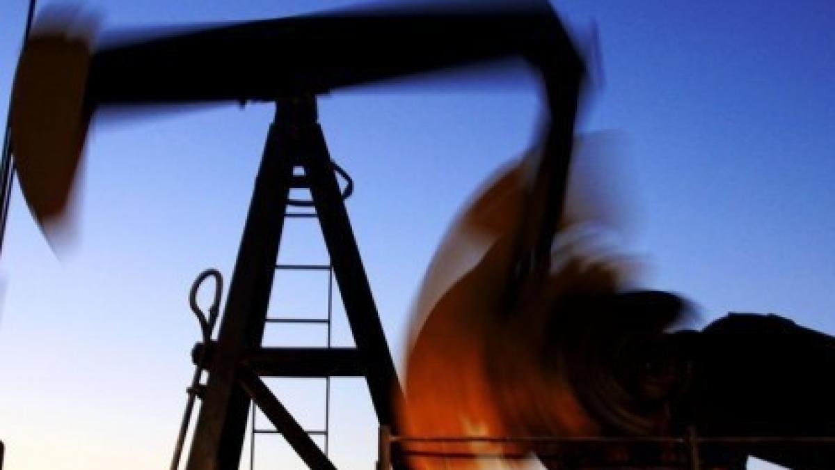 petrol_334222_21471600