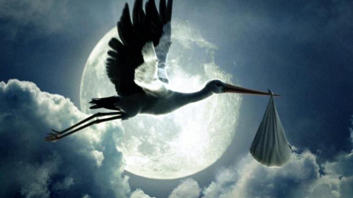 barza_copil_29769800