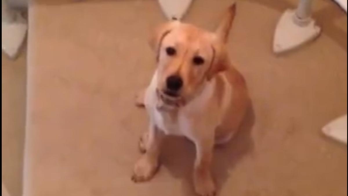 screen_shot_2015_08_12_at_1_16_41_pm_09275500