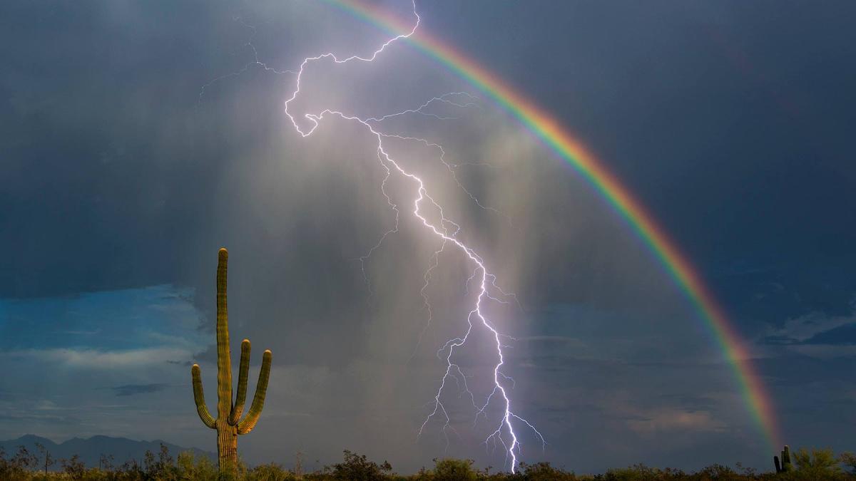 11792164_10204594538809487_7259983701620837600_o_34461300