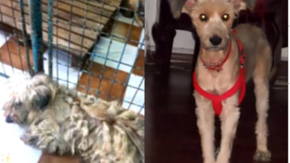 screen_shot_2015_08_12_at_9_09_55_am_69125200