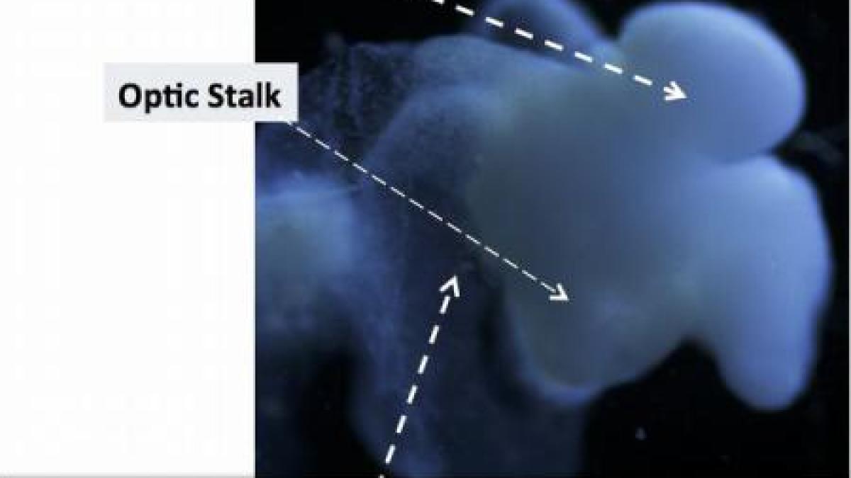 imageresize_93656900