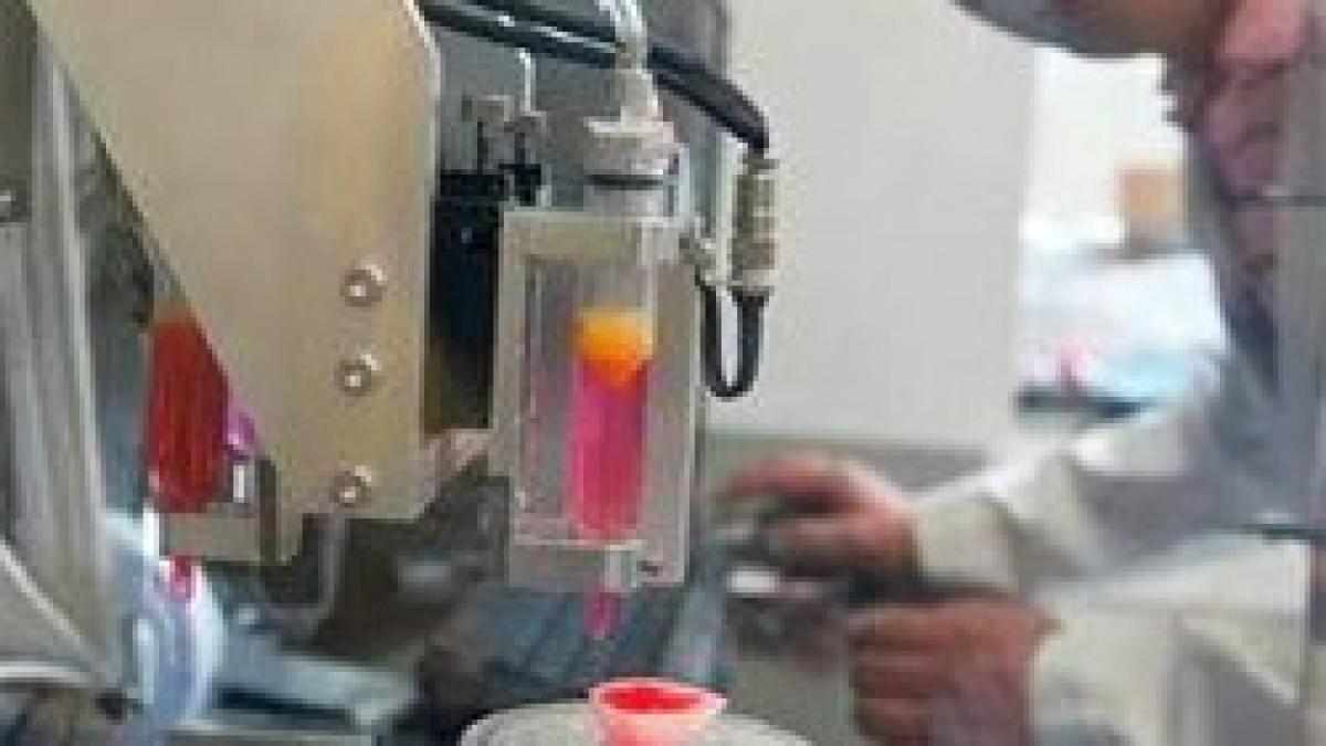 omeni_de_stiinta_03748500