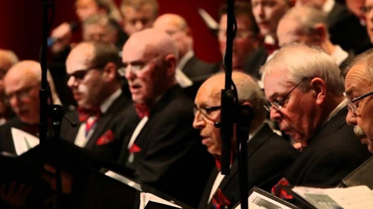 venlona_938x535_72103000