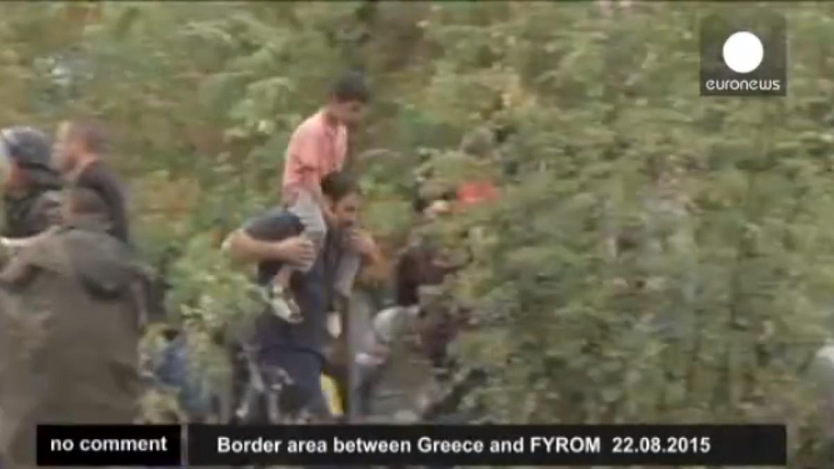 screen_shot_2015_08_25_at_12_03_49_pm_21406100