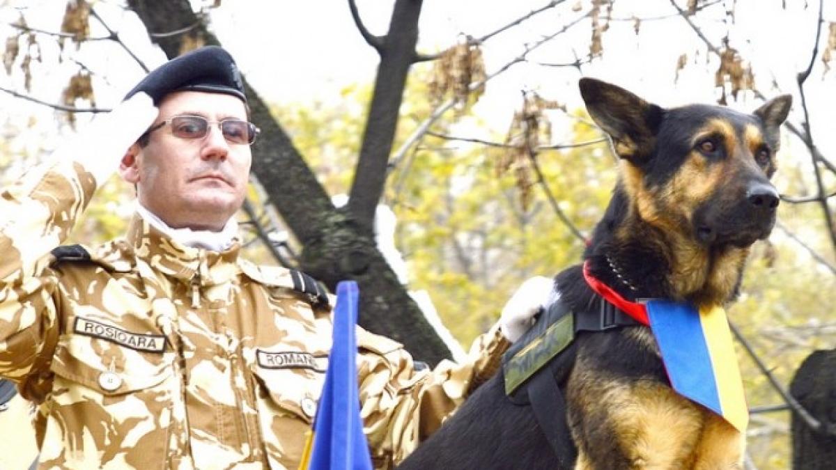 maxjpg1_93420400_47140900