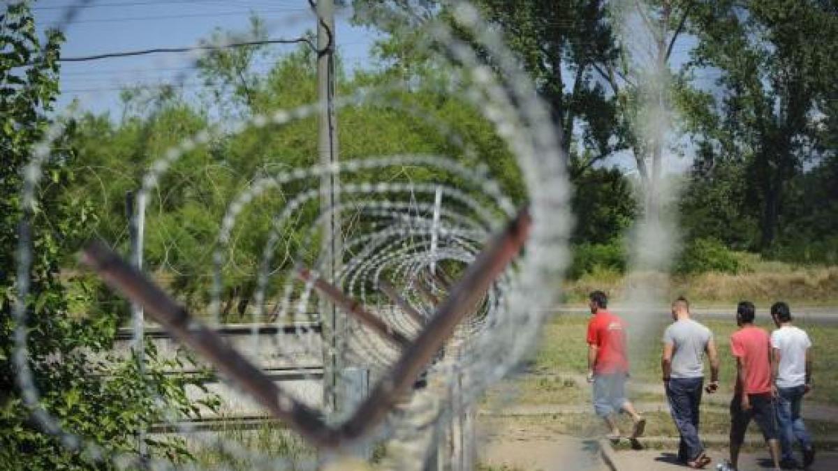 gardul_de_la_granita_dintre_ungaria_si_serbia_va_fi_gata_in_cateva_luni_313390_62942600