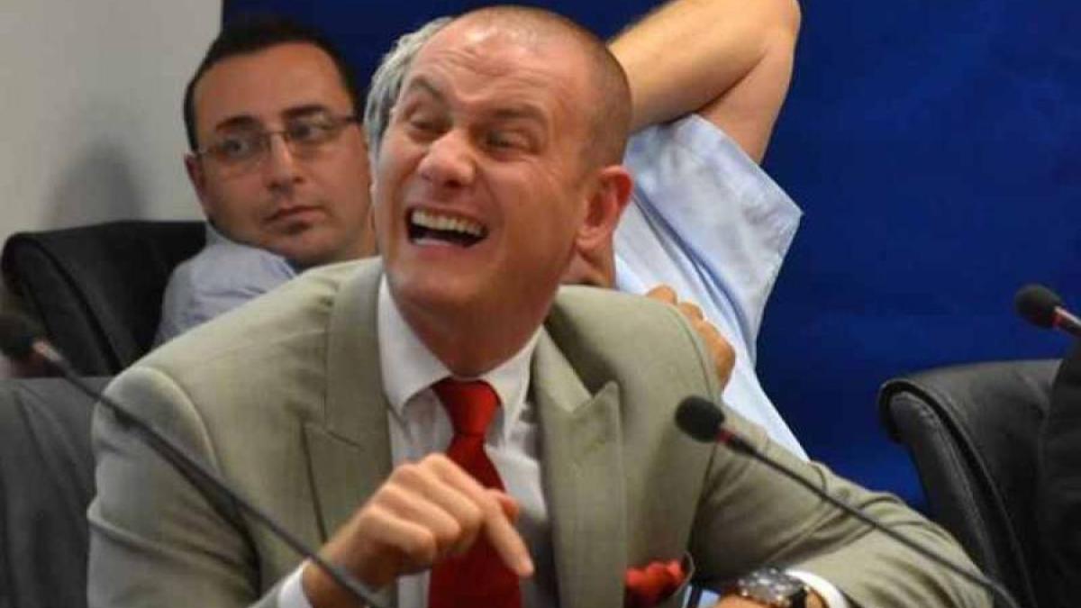 seplecan_chihuahua_0_56764500